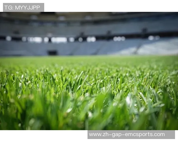 足球场的草地与运动员的表现之间的微妙关系探讨与分析